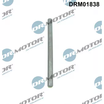 Dr.Motor DRM01838 - Arbre de transmission, pompe à huile
