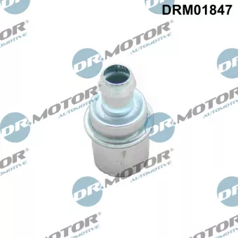 Dr.Motor DRM01847 - Soupape, dégazage du carter