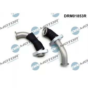 Radiateur, réaspiration des gaz d'échappement Dr.Motor OEM 55199705