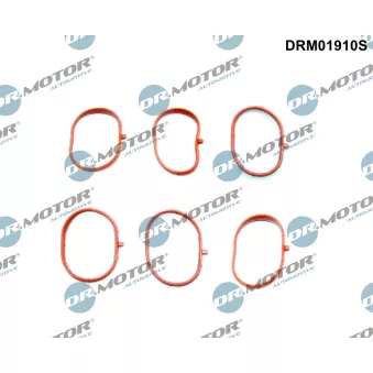 Dr.Motor DRM01910S - Jeu de joints d'étanchéité, collecteur d'admission