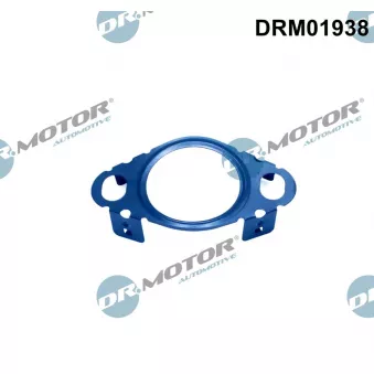 Dr.Motor DRM01938 - Joint, flexible vanne EGR