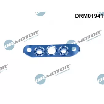 Joint, compresseur Dr.Motor DRM01246