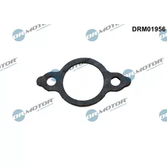 Dr.Motor DRM01956 - Joint, flexible vanne EGR