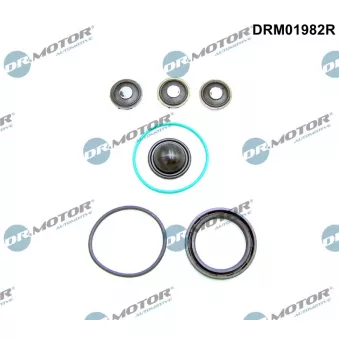 Kit de réparation (pompe à haute pression) Dr.Motor OEM 24465785