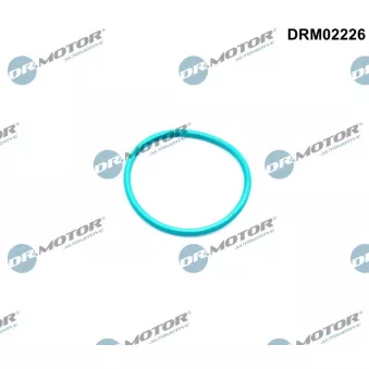 Dr.Motor DRM02226 - Joint, vanne EGR