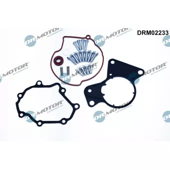 Kit de réparation, pompe à vide (freinage) Dr.Motor DRM0324