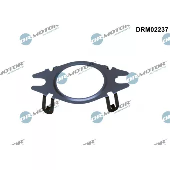 Dr.Motor DRM02237 - Joint, flexible vanne EGR