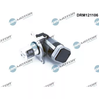 Dr.Motor DRM121106 - Vanne EGR