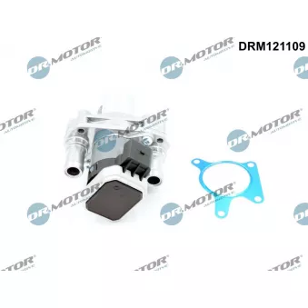 Dr.Motor DRM121109 - Vanne EGR