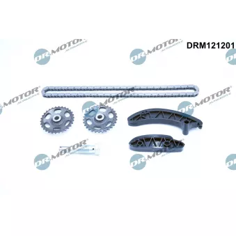 Dr.Motor DRM121201 - Kit de distribution par chaîne