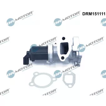 Dr.Motor DRM151111 - Vanne EGR