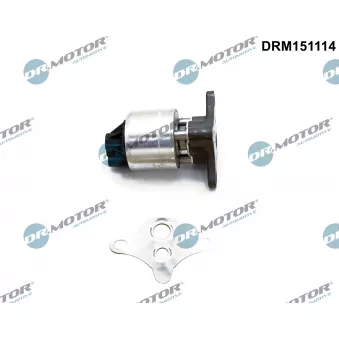 Dr.Motor DRM151114 - Vanne EGR