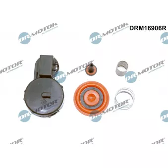 Dr.Motor DRM16906R - Diaphragme, ventilation du carter-moteur