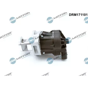 Dr.Motor DRM171101 - Vanne EGR