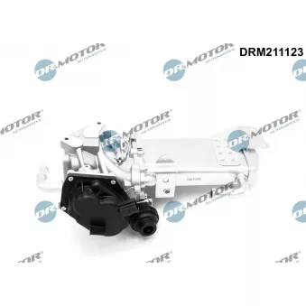 Dr.Motor DRM211123 - Vanne EGR