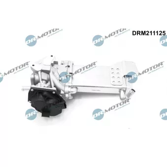 Dr.Motor DRM211125 - Vanne EGR