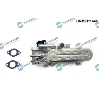 Dr.Motor DRM211144C - Radiateur, réaspiration des gaz d'échappement