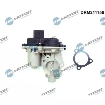 Dr.Motor DRM211156 - Vanne EGR