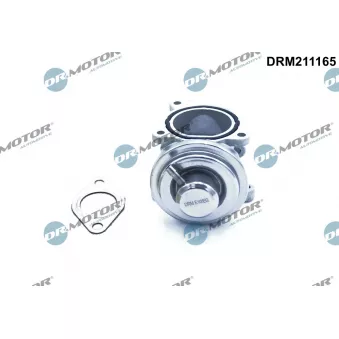 Dr.Motor DRM211165 - Vanne EGR