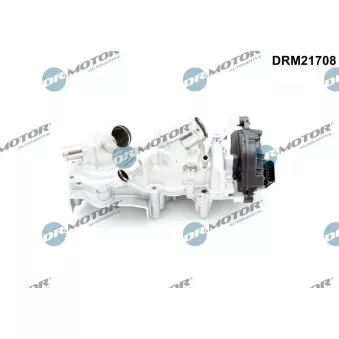 Pompe à eau, refroidissement du moteur Dr.Motor DRM21708 pour VOLKSWAGEN GOLF 1.5 eTSI - 150cv