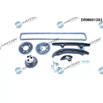Dr.Motor DRM601203 - Kit de distribution par chaîne