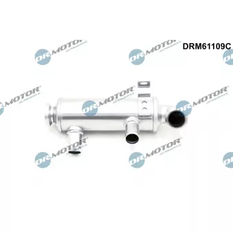 Dr.Motor DRM61109C - Radiateur, réaspiration des gaz d'échappement