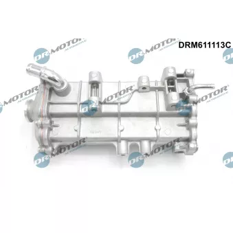Dr.Motor DRM611113C - Radiateur, réaspiration des gaz d'échappement