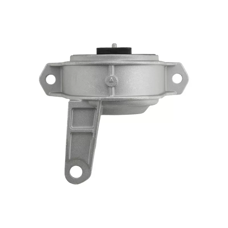 Support moteur TEKNÖR ZPS-PL-016 - Visuel 2