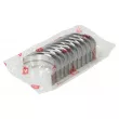 Kit de coussinet de vilebrequin NE [6038082500]