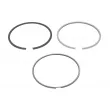 Jeu de segments de pistons NE [8921690000]