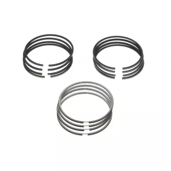 Jeu de segments de pistons NE OEM 2304027960