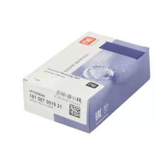 Kit de coussinets de bielle NE 181087001921
