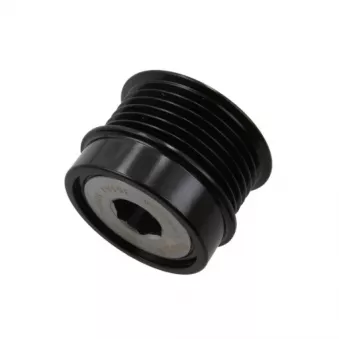 Poulie, alternateur BV PSH OEM A2TJ0481ZC