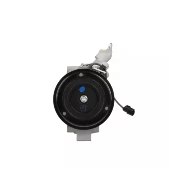 Compresseur, climatisation BV PSH OEM 38800R06G01