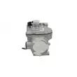 Compresseur, climatisation BV PSH [095.195.001.261]
