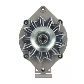 Alternateur BV PSH 135.021.085.010