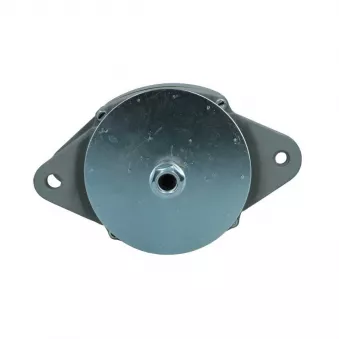 Alternateur BV PSH 236.502.050.038