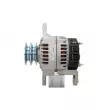 BV PSH 236.502.050.311 - Alternateur