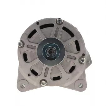 Alternateur BV PSH OEM 077903023BX