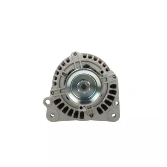 Alternateur BV PSH OEM 047903018AX