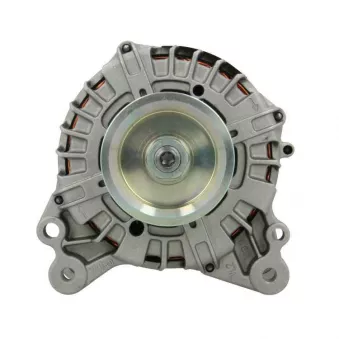 Alternateur BV PSH 305.556.180.500