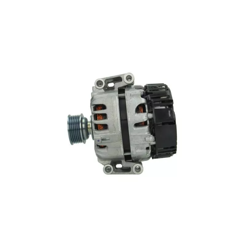 Alternateur BV PSH 305.966.210.500 - Visuel 1