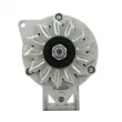 Alternateur BV PSH [445.003.070.110]