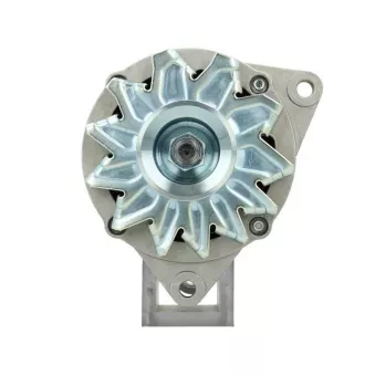 Alternateur BV PSH 505.056.065.310