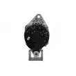 BV PSH 505.590.100.050 - Alternateur