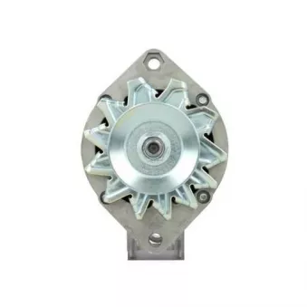 Alternateur BV PSH OEM 42498165
