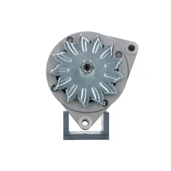 Alternateur BV PSH OEM 01181747