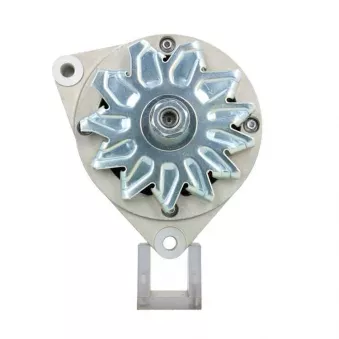 Alternateur BV PSH OEM 01181747