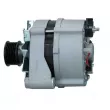 BV PSH 555.018.100.018 - Alternateur