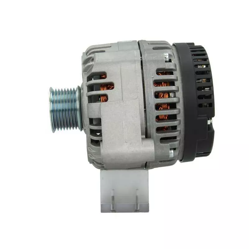 Alternateur BV PSH 555.503.120.311 - Visuel 1